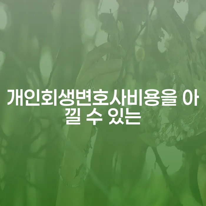 개인회생면책대출 개인회생으로 방법 조심스럽게