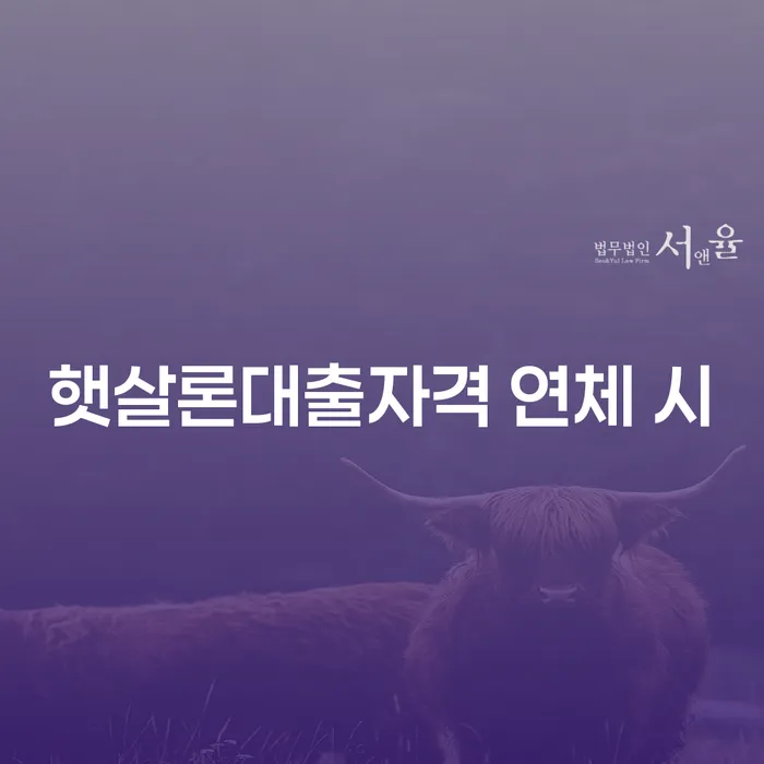 고금리대출 연체 시 개인회생,개인파산으로 추천하는 곳