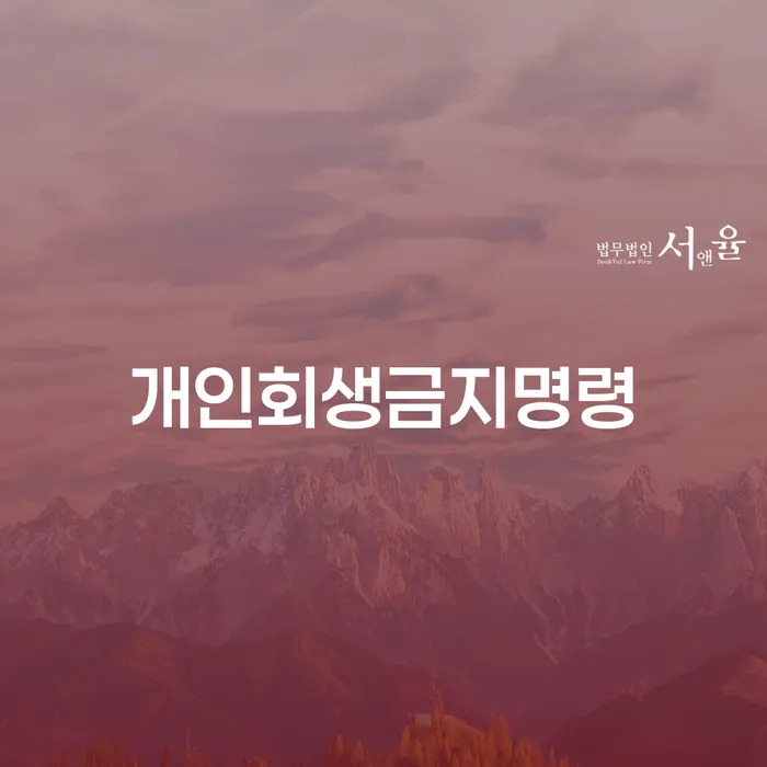 개인회생 변호사 비용 분납 가능하고 대출 받은 돈채무조정 잘 하는 변호사