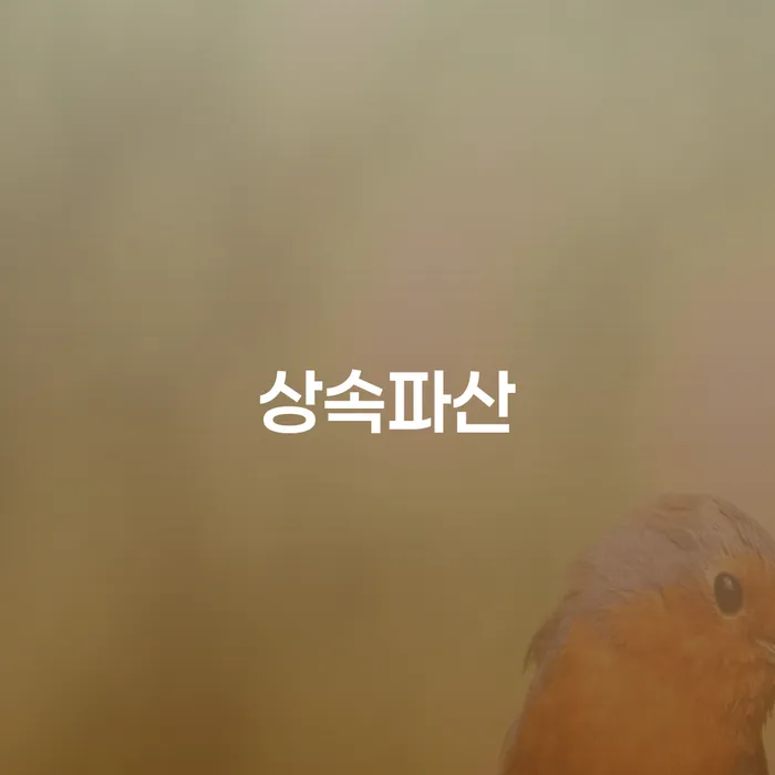 은행계좌압류 대출 받은 돈채무조정 중요 포인트