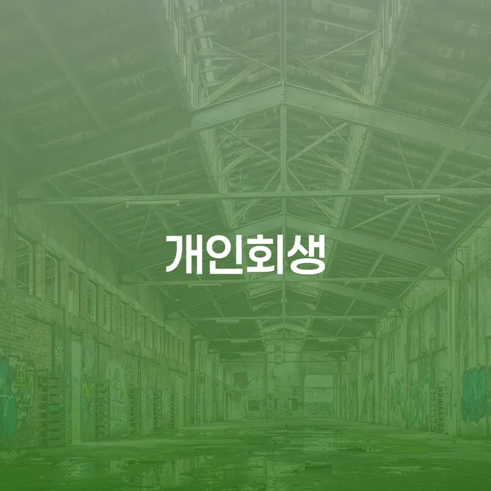 면책확인의소 빚 해결할 지식을