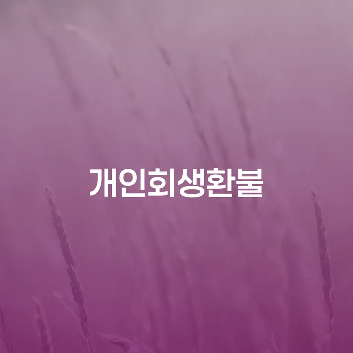 부부파산 개인회생 문제해결방법 모든정보