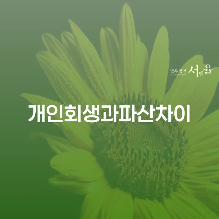 신용카드 연체 개인회생,개인파산으로 자세히알고