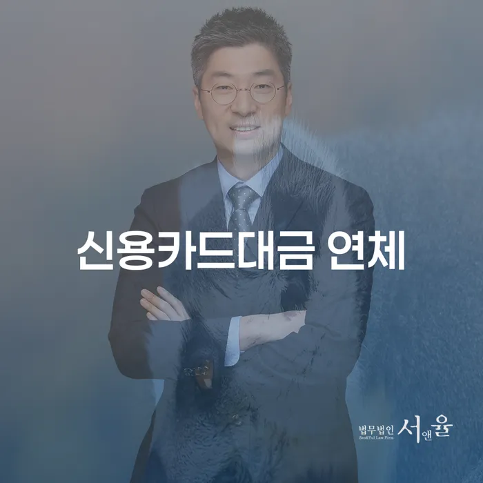 신용카드이용자대출 연체 시 개인회생 처리방법 잘 하는 법무법인