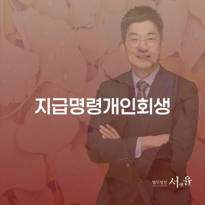 개인회생불이익 대출 연체 개인회생 잘하는 법무법인