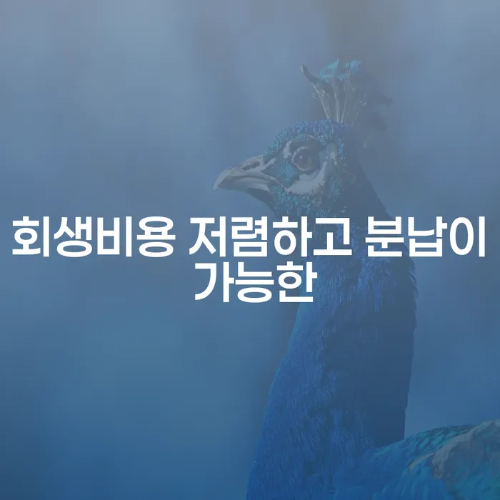성공사례 채무 효과적인 해결방법 있을까요?