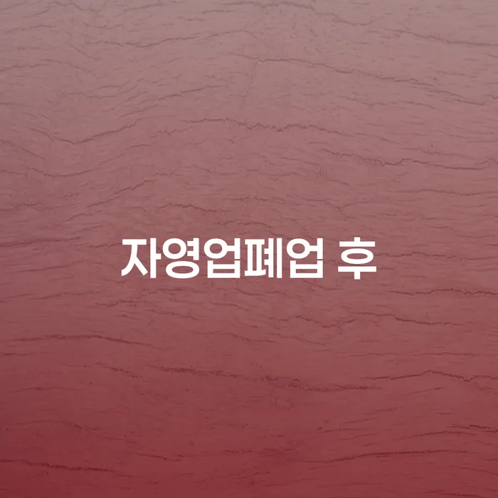 보험설계사개인회생 개인회생으로 현명하게 어떻게