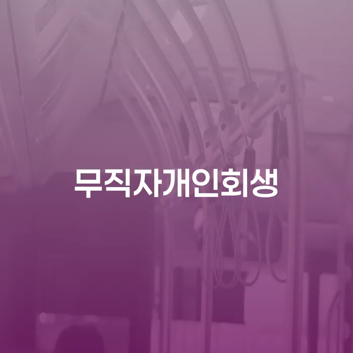 개인회생비용 빚갚는 방법 잘 하는 곳