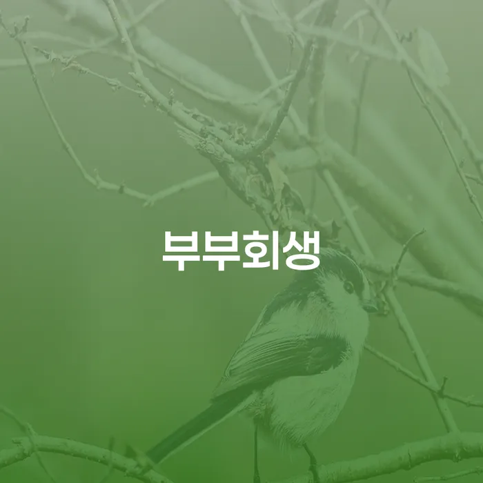 밀양시 신용회복위원회채무조정 개인회생 문제해결방법 여기서 확인!