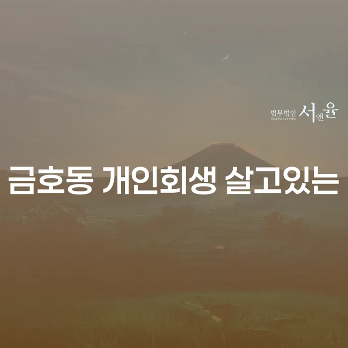 금호동 개인회생 살고있는