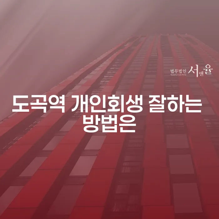 도곡역 개인회생 잘하는 방법은