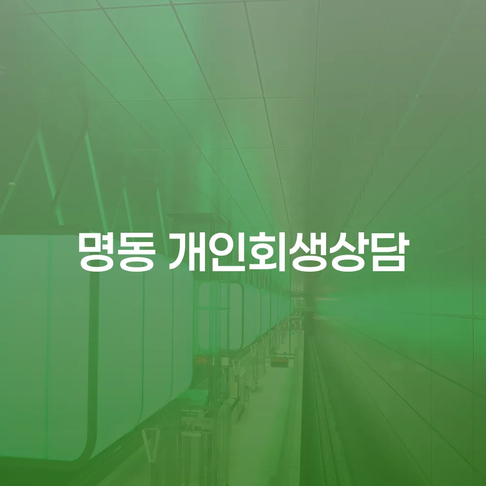 명동 개인회생 상담의 중요성과 절차