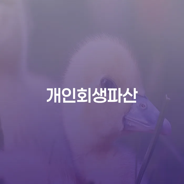 연천개인회생파산을 통해 경제적 회복을 위한 방법