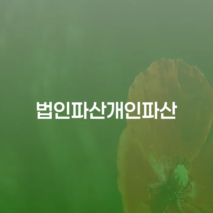 법인파산과 개인파산: 채무 문제 해결을 위한 최선의 선택은 무엇일까?