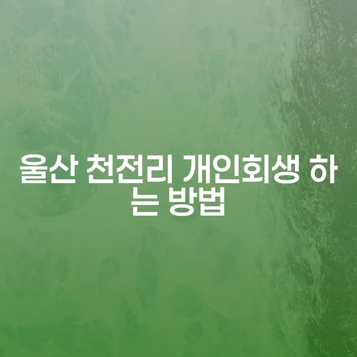 울산 천전리 개인회생을 신청하는 방법은 무엇인가요?