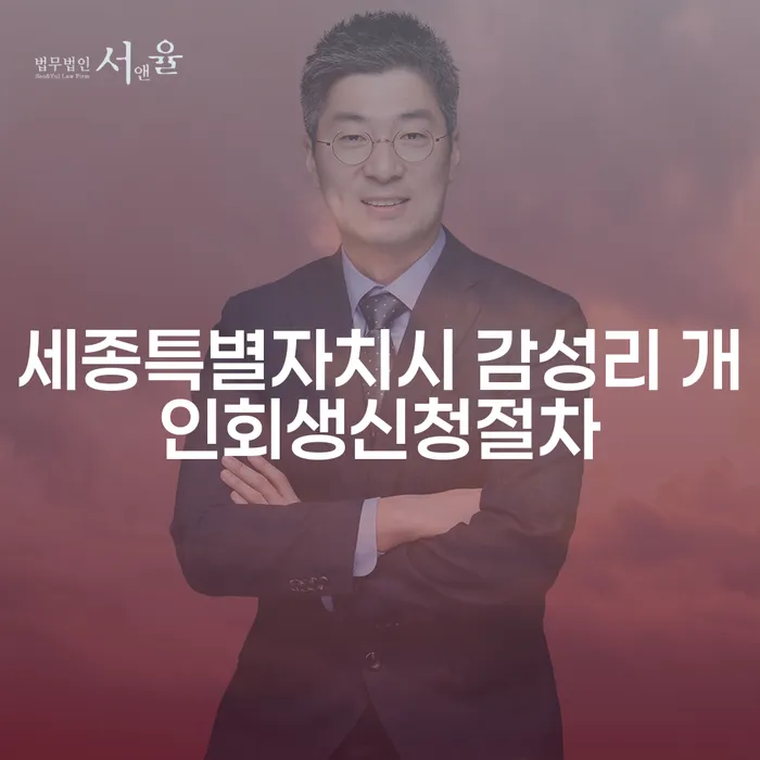 세종특별자치시 감성리에서 개인회생신청은 어떻게 진행되나요?