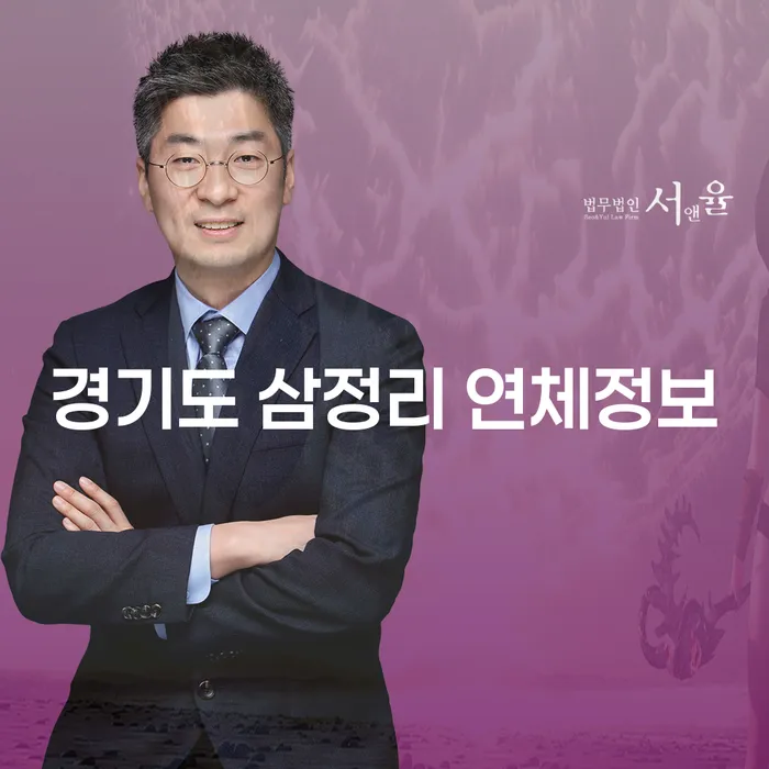 경기도 삼정리 연체정보를 아시나요? 청구이의소로 해결할 수 있는 방법은?